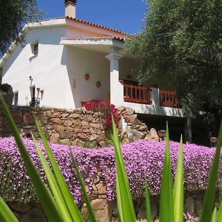 Maravilla Loiri Porto San Paolo Екстериор снимка