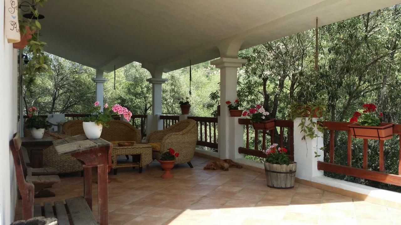 Maravilla Loiri Porto San Paolo Екстериор снимка